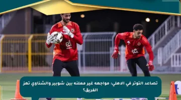 تصاعد التوتر في الأهلي: مواجهة غير معلنة بين شوبير والشناوي تهز الفريق؟